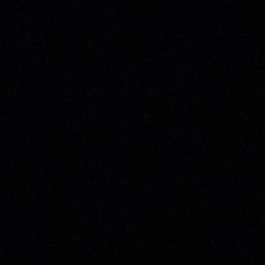 Meet your Posher, Maya